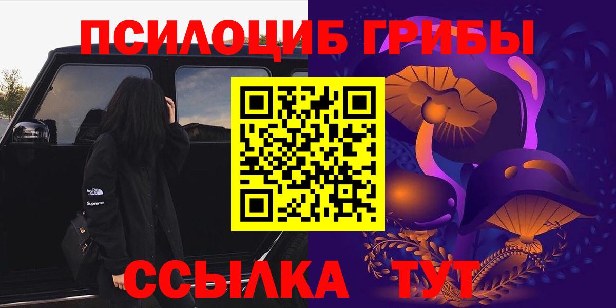 Галлюциногенные грибы Cubensis  Вход с VPN  Уссурийск  Псилоцибиновые грибы прущие грибы 